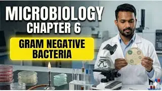 Gram Negative Bacteria | Microbiology for MLT Students | Chapter 6 | Full Lecture