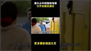 灌木丛中的隐秘地堡打开后脸色煞白 #历史故事 #科普 #科普 #電影 #百科密码 #知识渊博 #知识渊博 #秘史趣聞