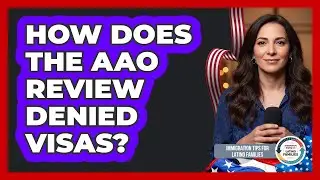 How Does The AAO Review Denied Visas?