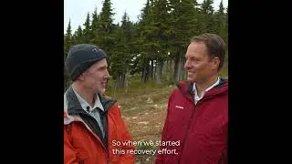 Marmot Recovery Foundation Marmot Release