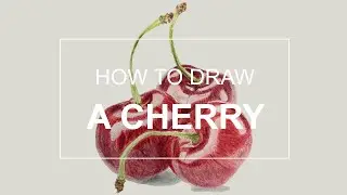 How to draw a Cherry! | Realistic Cherry Drawing Timelapse (speed drawing)
