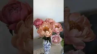 #peonies