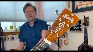 REVIEW: Blueridge BR40-TCE Tenor Guitar Review
