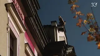 Małopolskie Centrum Kultury SOKÓŁ: 5 dekad pasji!