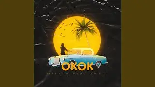 Ok ok (feat. AMELY)