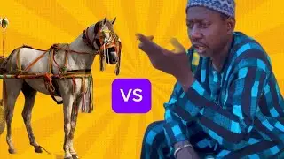 tapha Sarr Gawar gui Touba course hippique Senegal hippique mobile horse cheval #horse 