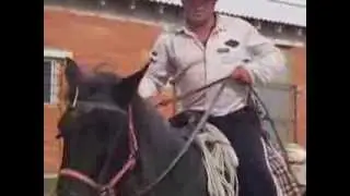 Hola Chema, Esta oveja no es mía