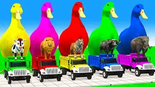 Long Slide Game with Cow Elephant Gorilla Hippopotamus Tiger 3d Animal Game Funny 3d Animals