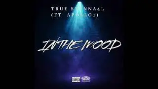 Apollo1 X Stunna4L - In The Mood