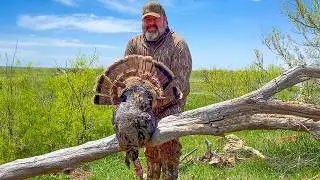 Hunting WILD Turkeys in NORTH TEXAS!