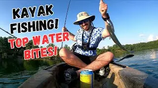 Kayak Fishing | Bass Hit the Whopper Plopper All Day!