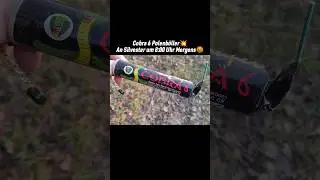 Cobra 6 Polenb&ouml;ller💥 Silvester 8:00 Uhr Morgens🤬