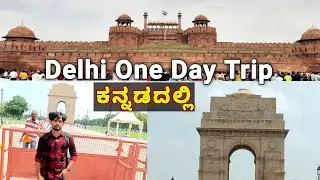 Delhi ✈️Layover Trip | Delhi One Day Trip | Visiting Places in Delhi