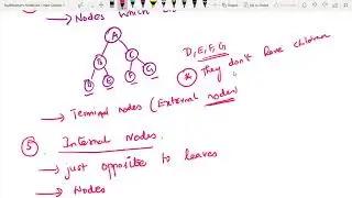 48  Tree Terminologies
