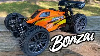Багги Bonzai Jubatus B416 в масштабе 1/14 &mdash; лучше, чем у WL Toys? &mdash; Распаковка и обзор