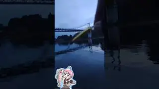 ミノーで釣ると楽しいゾイ！🎣ԅ( ˘&omega;˘ ԅ)#エリアトラウト #VTuber #魚釣り #fishing #管釣り #Vチューバー