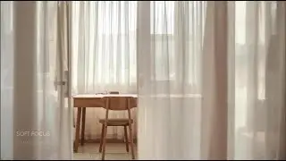 Quiet Room in Soft Daylight | Calm Focus Music | Soft Focus Radio