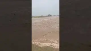 High Flood Risk in Bahawalnagar | Sutlej River | 20 August Updates