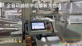 Auto big bag packing machine -- Soontrue Machinery