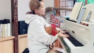 にわとりに聴かせるように　Chopin largo #ピアノ　#petchickens #piano
