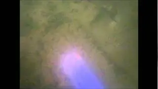 duikje in de 3 vijvers te Adinkerke (De panne)