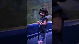 Tiny Explorer at VGP Marine Kingdom 🐠💙 | candy_yashvi 🍭👶#vgpmarinekingdom #indiavlog #indianfamily