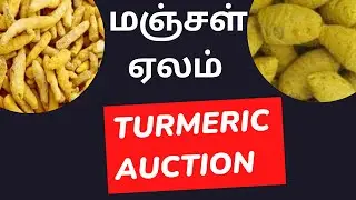 1656 மூட்டைகள் மஞ்சள் விற்பனை | 1656 Bags Turmeric Sold Today |  ल्दी का बाजार भाव आज 16 जून 2023