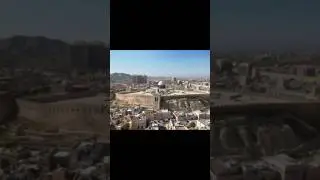 A monster appears in Jerusalem. #monster #predator