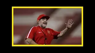 Argentinien: diego maradona m&ouml;chte als nationaltrainer zur&uuml;ckkehren