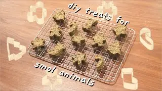 easy holiday cookies for smol pets!