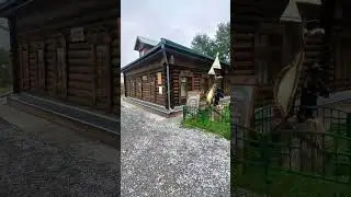 #россия #культура #z #рф #Сургут #86ру