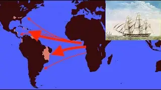 What if the Atlantic Slave Trade Never Happened?
