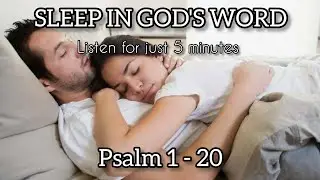 Sleep Peacefully with First 20 Verses of Psalms &mdash; Calming Scripture Reading for Rest & Relaxation