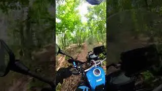 Motorla orman gezintisi