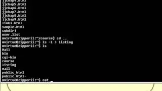 VTC Player   Unix Shell Fundamentals, Standard Output