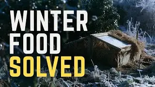 9 WWII Cold Frame Secrets That Let Families Harvest Fresh Greens in the Dead of Winter