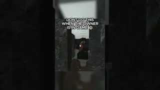 NEVER DO THIS WITH THE OWNER IN YOUR GAME...
