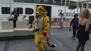 Kheetah runs past camera in a blur! - 43