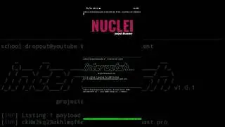 Nuclei by Project Discovery #nuclei #bugbounty #devops