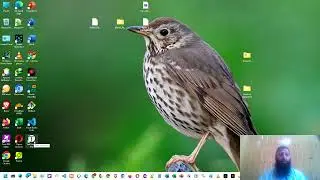 Replace text in multiple files with ease