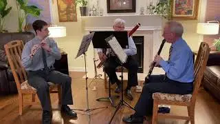 Winds Brilliante- woodwind trio #2 Divertimento, Op. 12a Joachim Kotschau