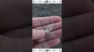 Sea Glass and Shell Hunting Coastal New England #beachcombing