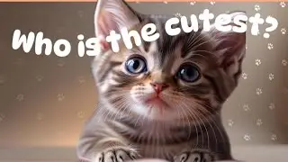 Who Is the Cutest? Be Honest #animalQuiz #pets #cat #dog #bunny