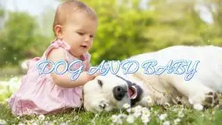 Os c&atilde;es bab&aacute;s mais lindos vistos no youtube [1]