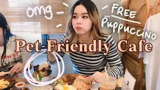 📍Ph, Pasig - Brewed Specialty Coffee 🐶 Pet-Friendly Cafe Review