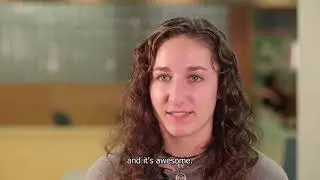 UVM Wellness Environment