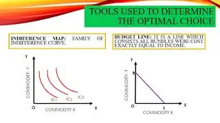 OPTIMAL CHOICE OF THECONSUMER