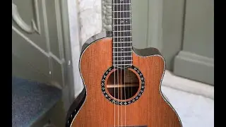 Ryan Paradiso Grand Concert Cocobolo - Sinker Redwood