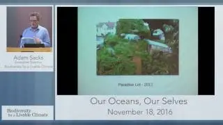 Our Oceans, Our Selves with Adam Sacks