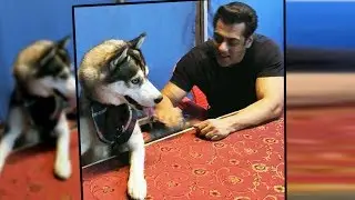 Salman Khan Smiling As He Plays With Pulkit Samrat&rsquo;s Dog